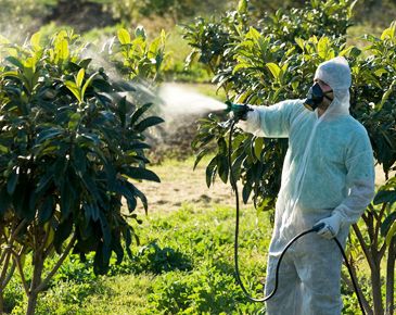 Bolu böcek ilaçlama uygulama süreci